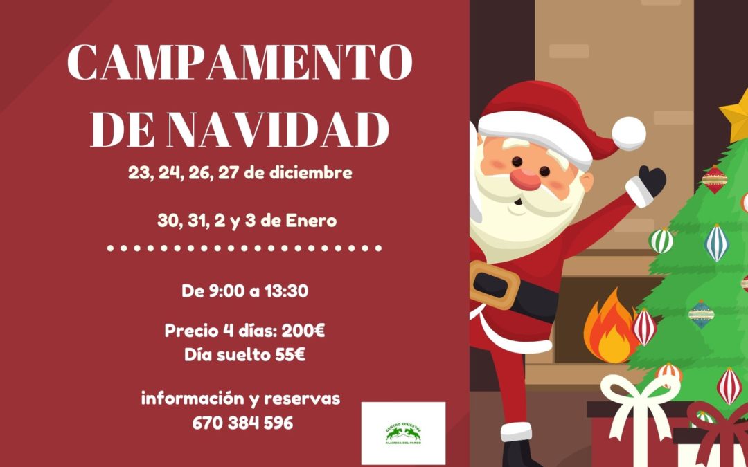 CAMPAMENTO DE NAVIDAD