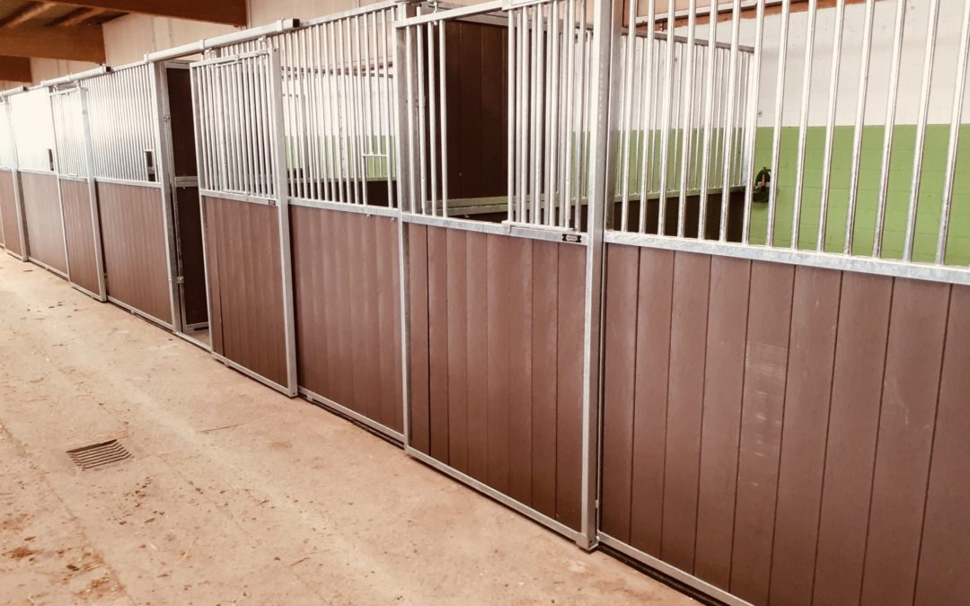 NUEVOS BOXES PREMIUM (3,5×3,5)