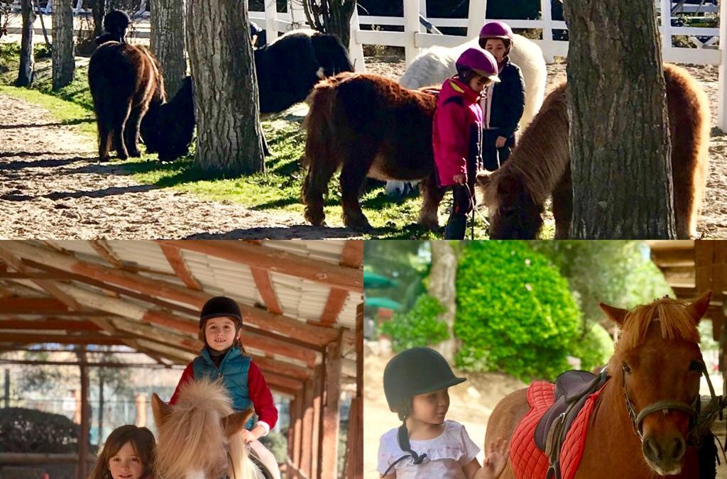 PASEOS EN PONY PARA NIÑOS DE 2 A 4 AÑOS