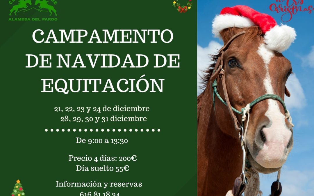 ABIERTO PLAZO DE INSCRIPCIÓN CAMPAMENTO DE NAVIDAD
