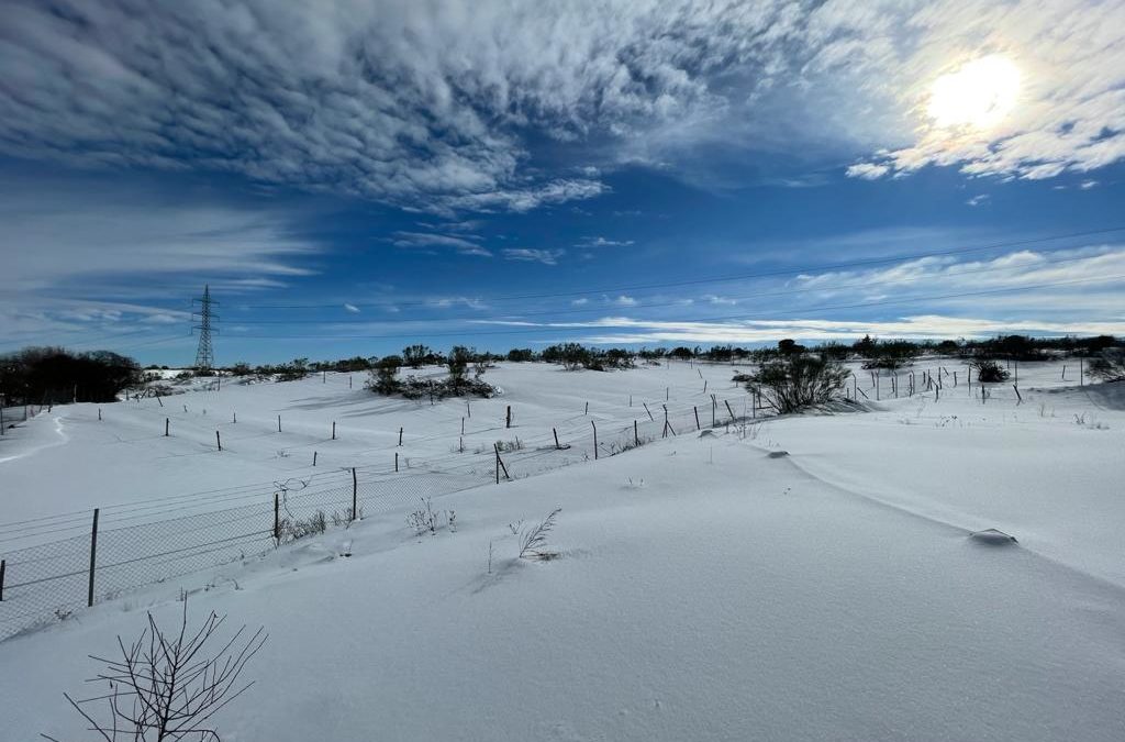LAS MEJORES IMÁGENES DE LA NEVADA