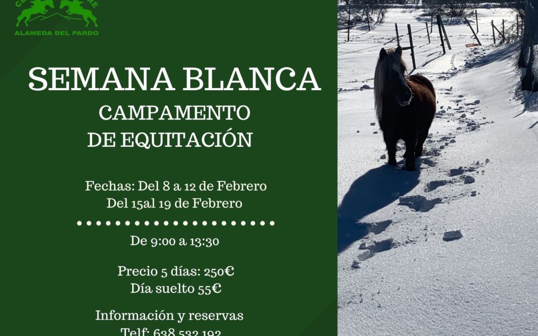 CAMPAMENTO SEMANA BLANCA