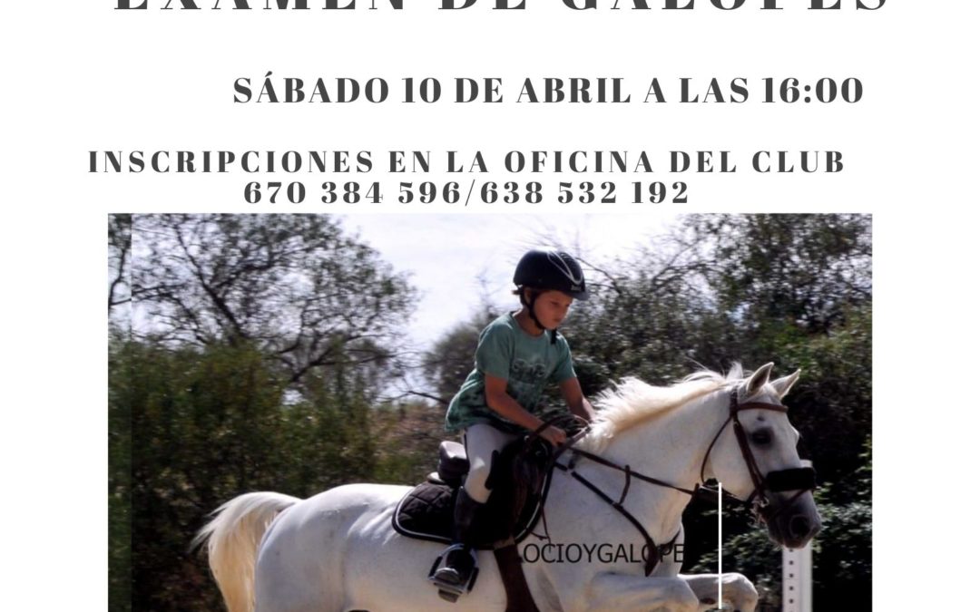 CONVOCATORIA EXAMEN DE GALOPES SABADO 17 DE ABRIL 16:00