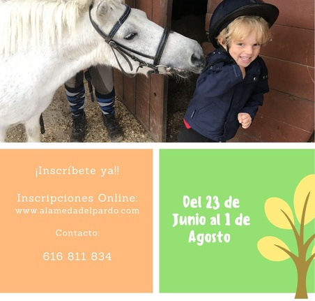 CAMPAMENTO DE VERANO 2021